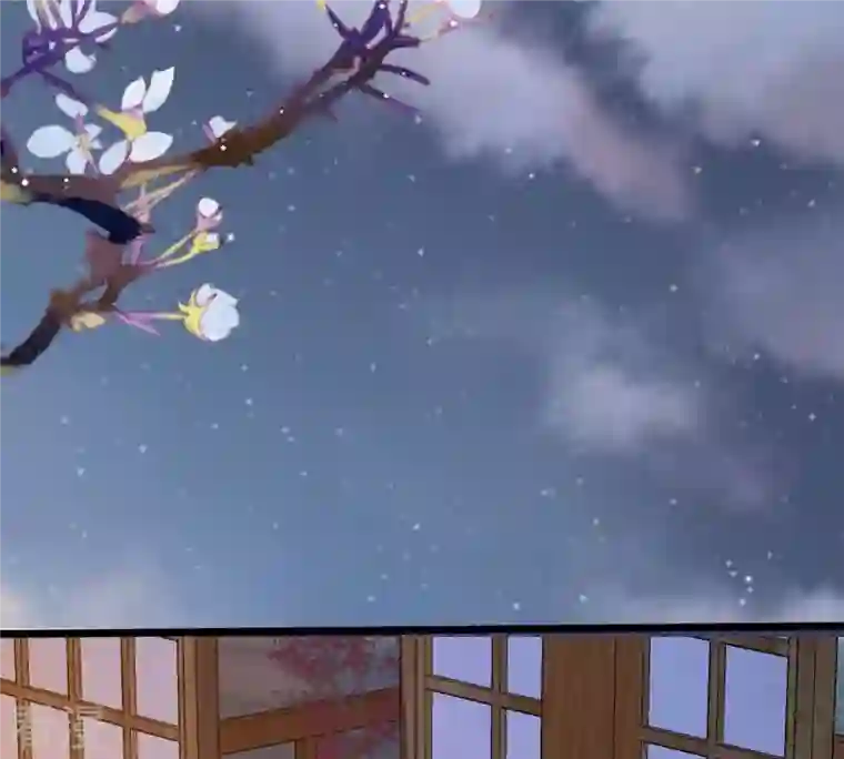 战神狂妃：凤倾天下第216话 玄王妃唯一人选