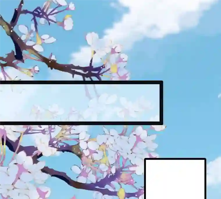战神狂妃：凤倾天下第217话 宣告