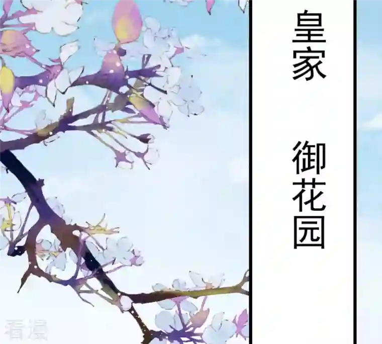 战神狂妃：凤倾天下第217话 宣告