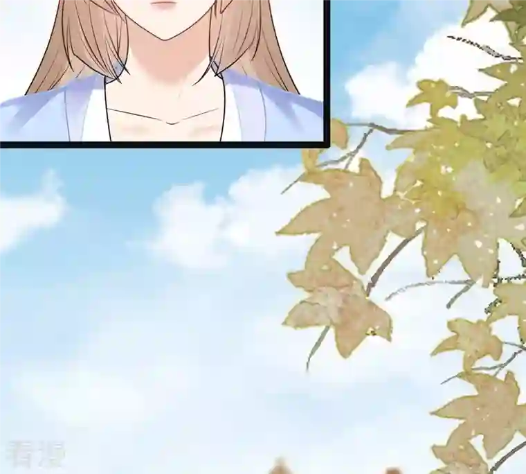 战神狂妃：凤倾天下第217话 宣告