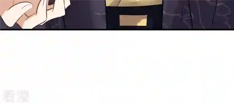 战神狂妃：凤倾天下第219话 面圣