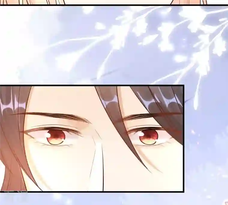 战神狂妃：凤倾天下第219话 面圣