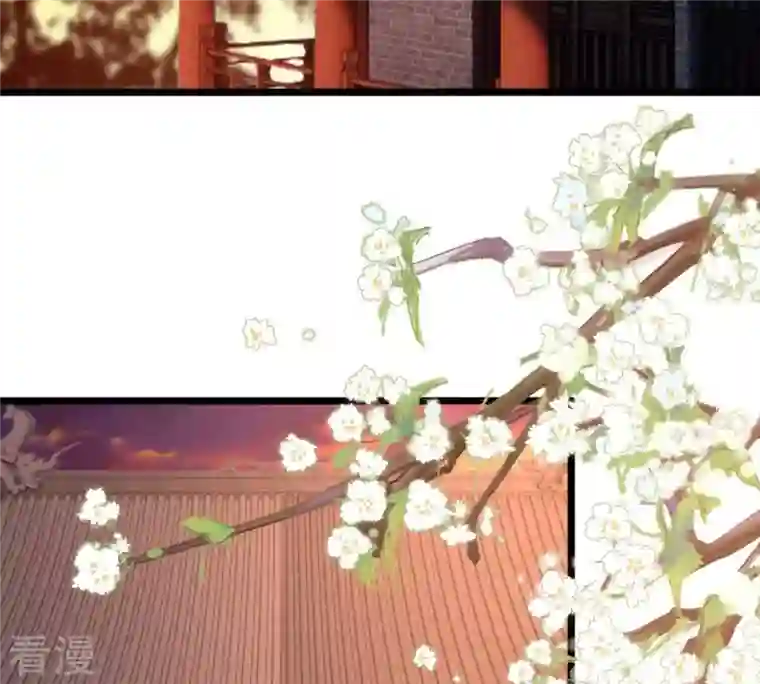 战神狂妃：凤倾天下第221话 不配真心