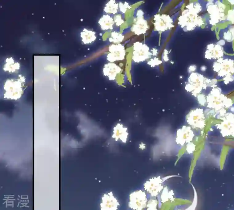 战神狂妃：凤倾天下第222话 情敌相见