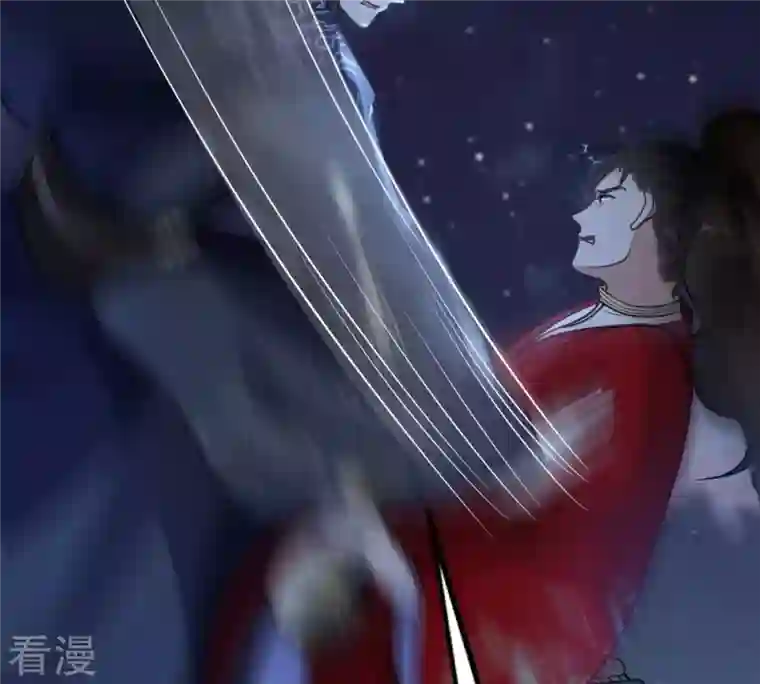 战神狂妃：凤倾天下第223话 暗夜斗殴？
