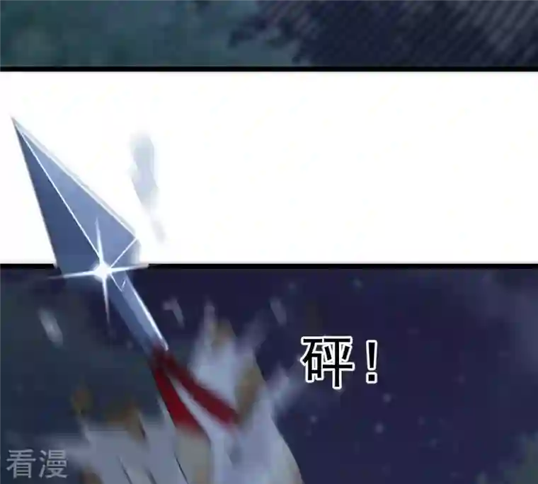 战神狂妃：凤倾天下第223话 暗夜斗殴？