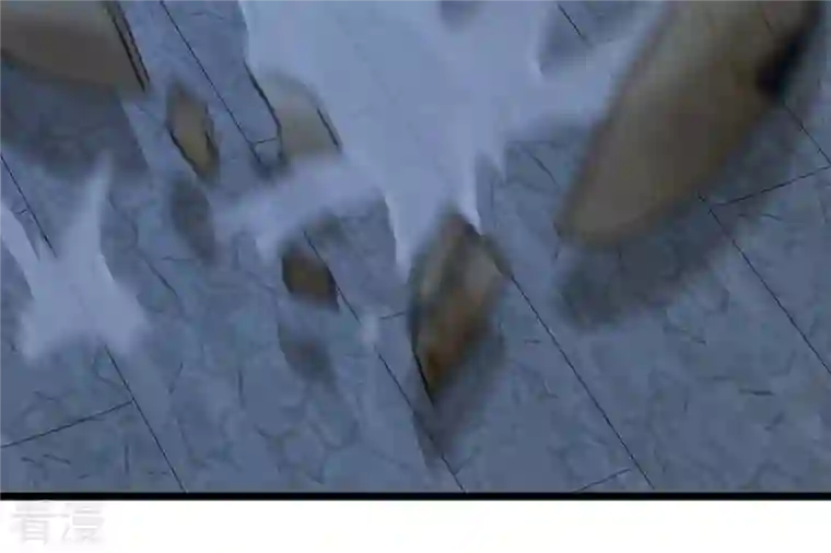 战神狂妃：凤倾天下第223话 暗夜斗殴？