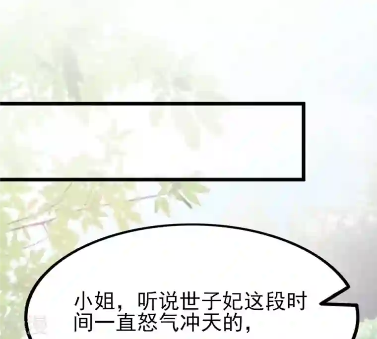 战神狂妃：凤倾天下第223话 暗夜斗殴？