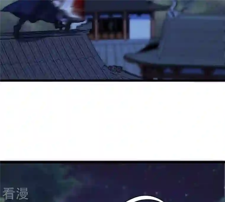战神狂妃：凤倾天下第223话 暗夜斗殴？