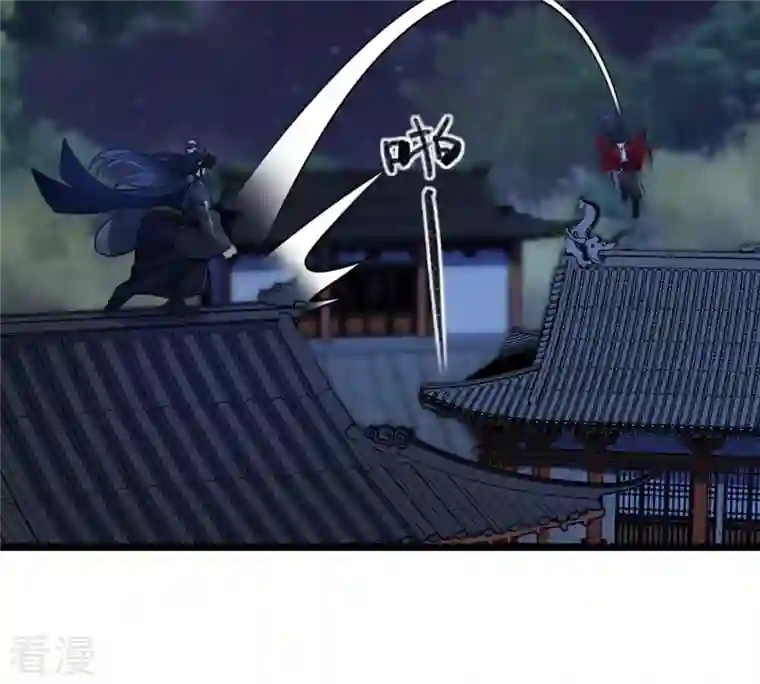 战神狂妃：凤倾天下第223话 暗夜斗殴？