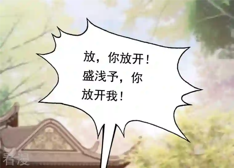 战神狂妃：凤倾天下第224话 王爷劈腿了？
