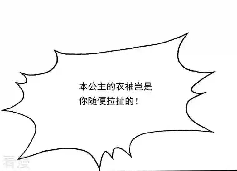战神狂妃：凤倾天下第224话 王爷劈腿了？