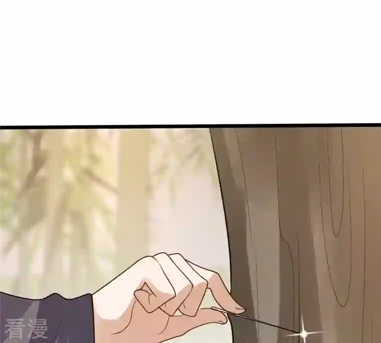 战神狂妃：凤倾天下第225话 落水