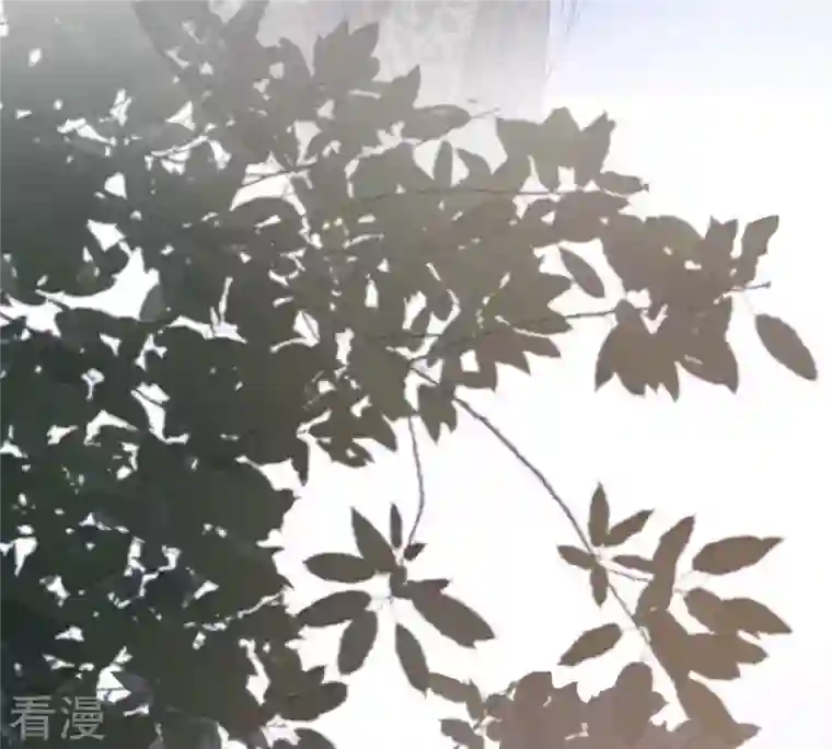战神狂妃：凤倾天下第227话 恋爱的酸甜滋味