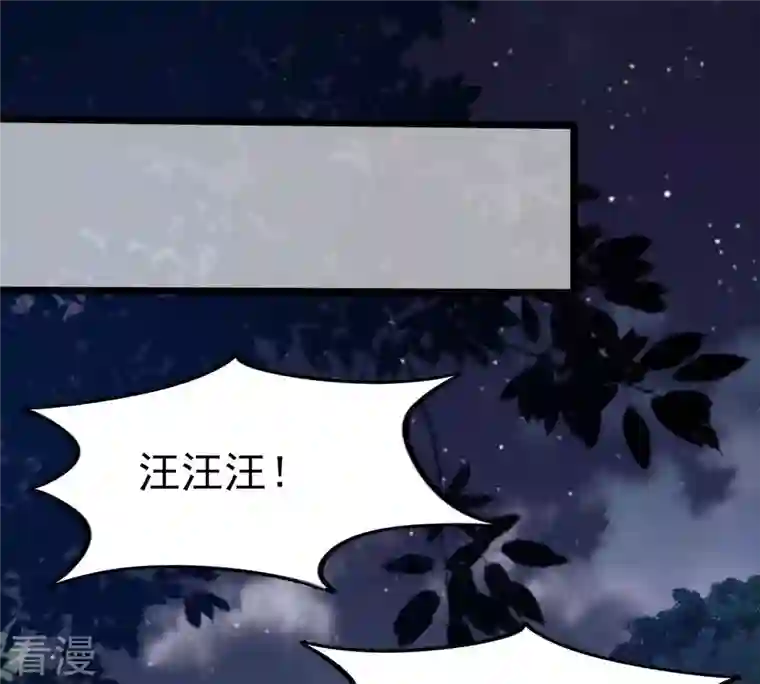 战神狂妃：凤倾天下第228话 又来找茬了