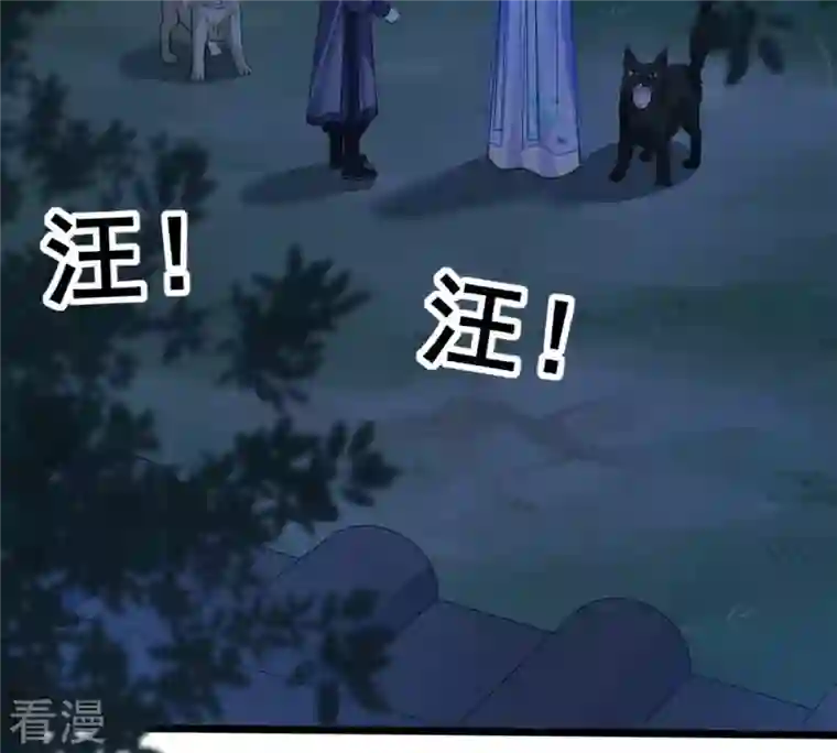 战神狂妃：凤倾天下第229话 突如其来的表白