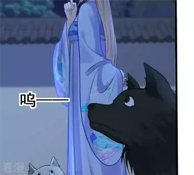 战神狂妃：凤倾天下第229话 突如其来的表白