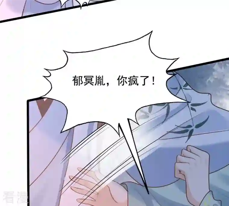 战神狂妃：凤倾天下第230话 隐藏线
