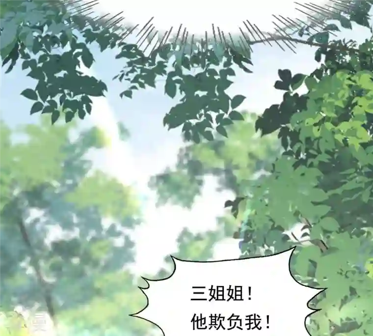 战神狂妃：凤倾天下第233话 怀疑