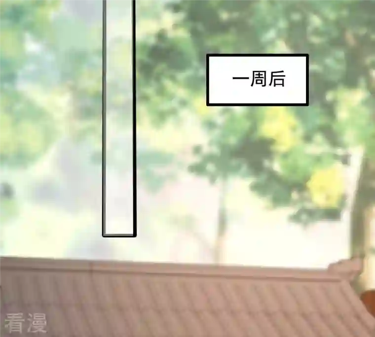 战神狂妃：凤倾天下第237话 求婚