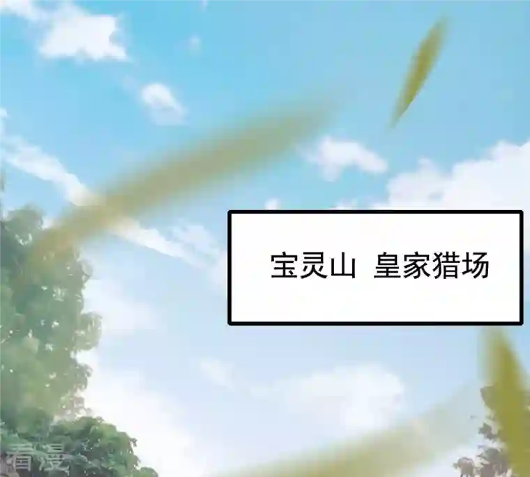 战神狂妃：凤倾天下第238话 招谁惹谁了