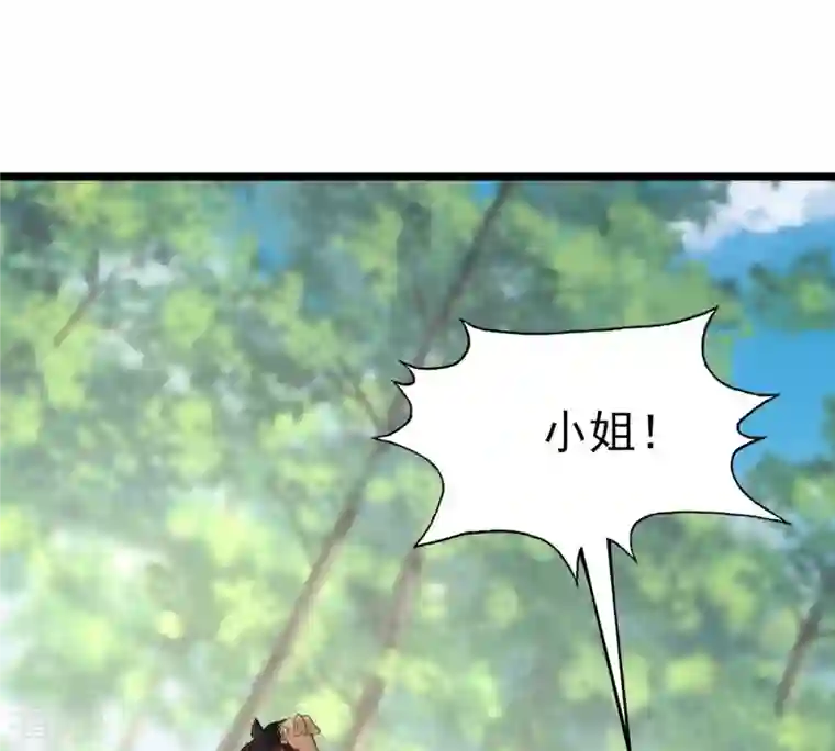 战神狂妃：凤倾天下第238话 招谁惹谁了