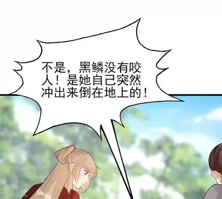 战神狂妃：凤倾天下第242话 皇后的试探