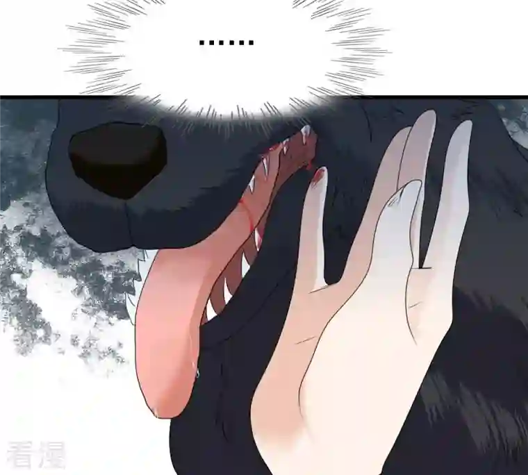 战神狂妃：凤倾天下第242话 皇后的试探