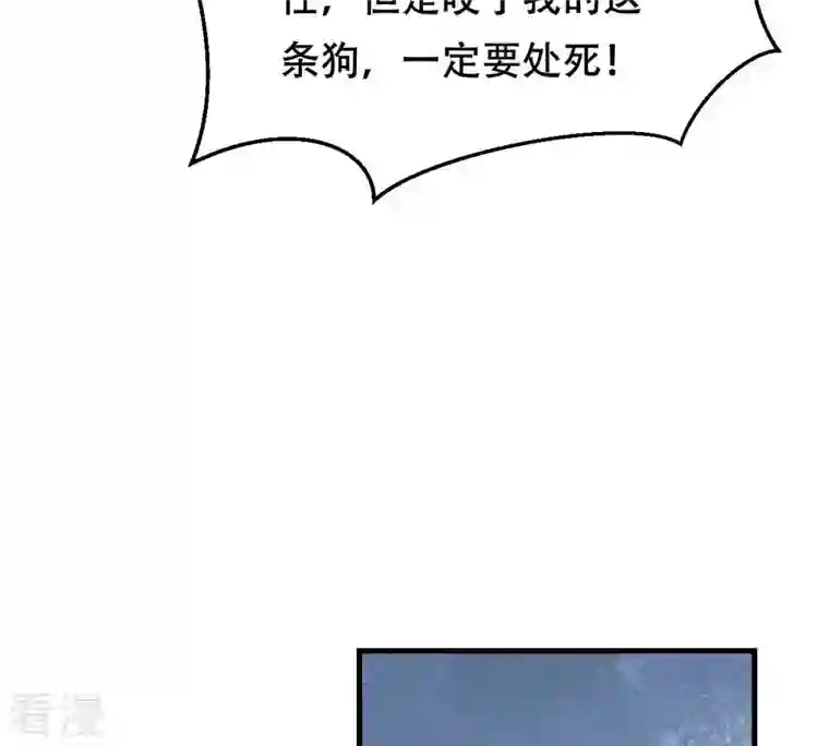 战神狂妃：凤倾天下第243话 杀了咬人的狗