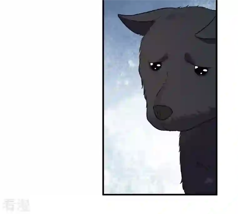 战神狂妃：凤倾天下第243话 杀了咬人的狗