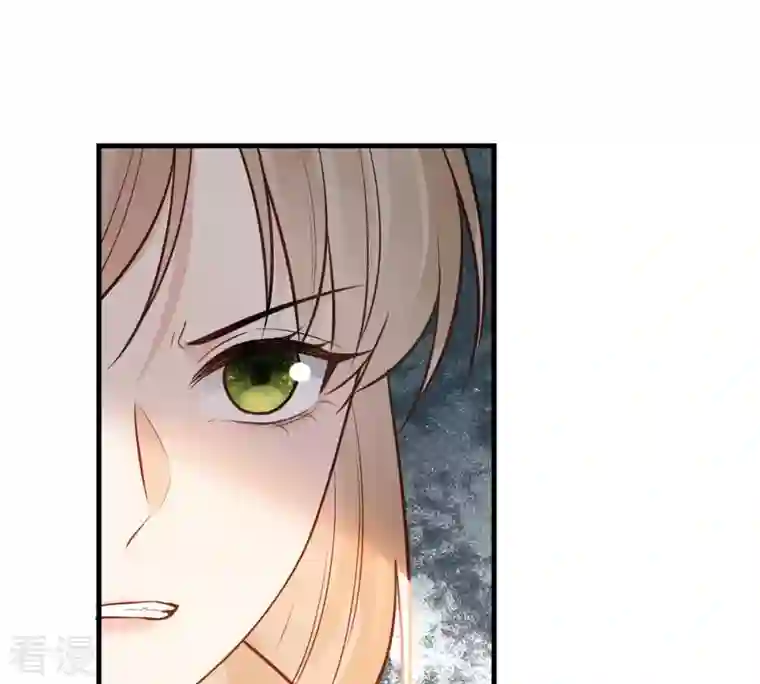 战神狂妃：凤倾天下第243话 杀了咬人的狗