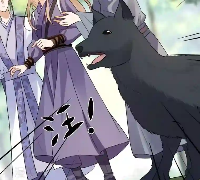 战神狂妃：凤倾天下第243话 杀了咬人的狗