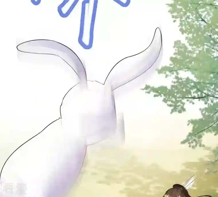 战神狂妃：凤倾天下第243话 杀了咬人的狗