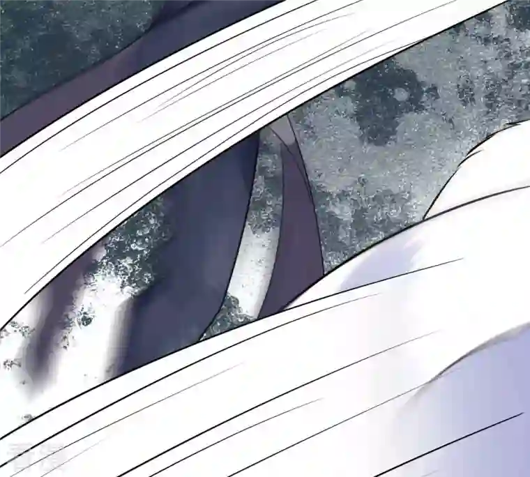 战神狂妃：凤倾天下第243话 杀了咬人的狗