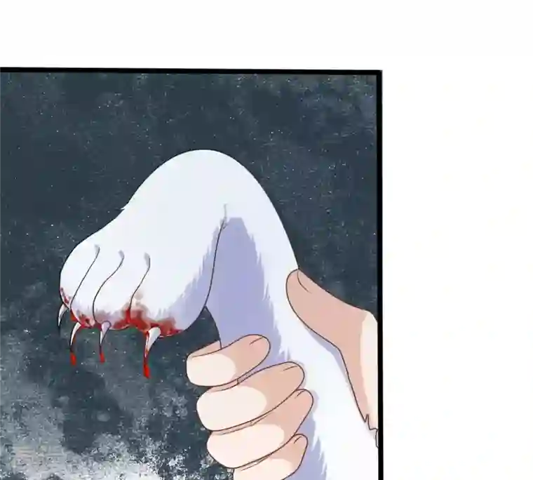 战神狂妃：凤倾天下第244话 打脸就要响亮