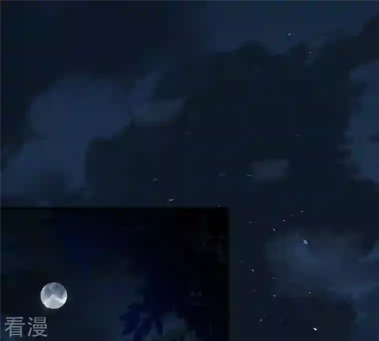 战神狂妃：凤倾天下第246话 篝火晚会