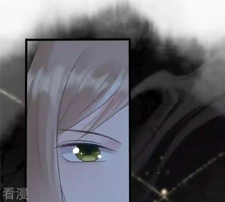 战神狂妃：凤倾天下第247话 相认