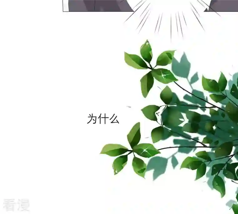 繁星坠落的食光第49话 走散