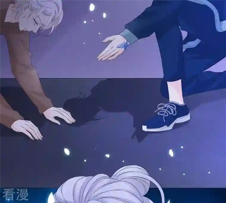 繁星坠落的食光第61话 找寻契机