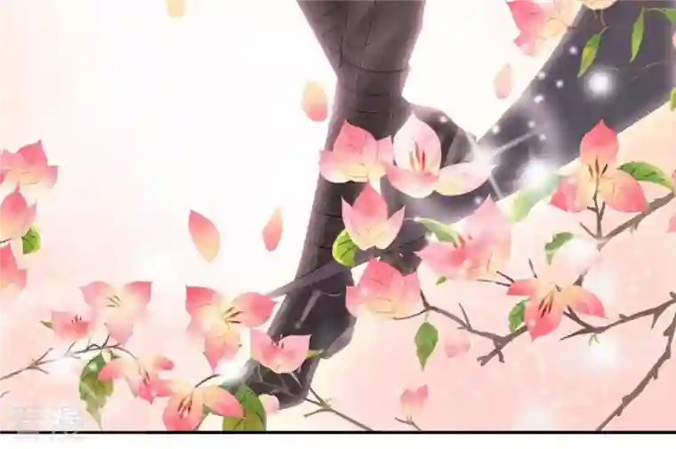 繁星坠落的食光第70话 我做的一切都是为了你