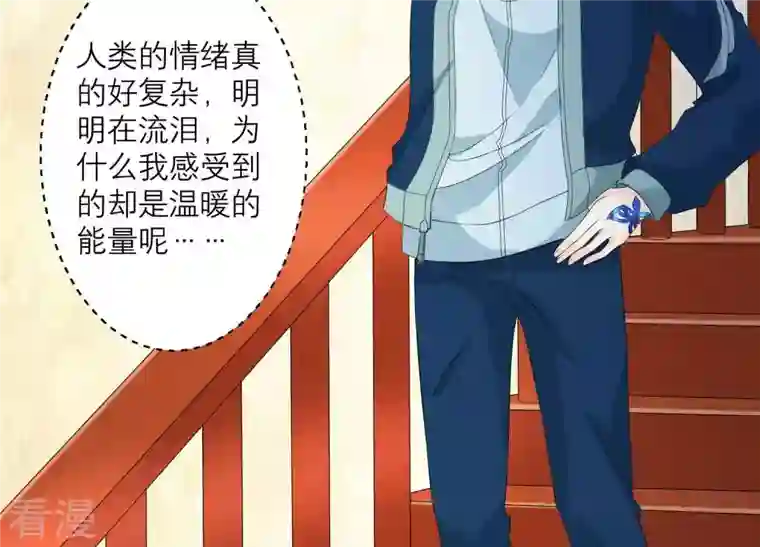 繁星坠落的食光第75话 真相（上）
