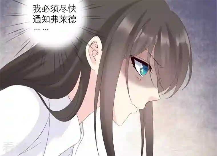 繁星坠落的食光第121话 引蛇出洞