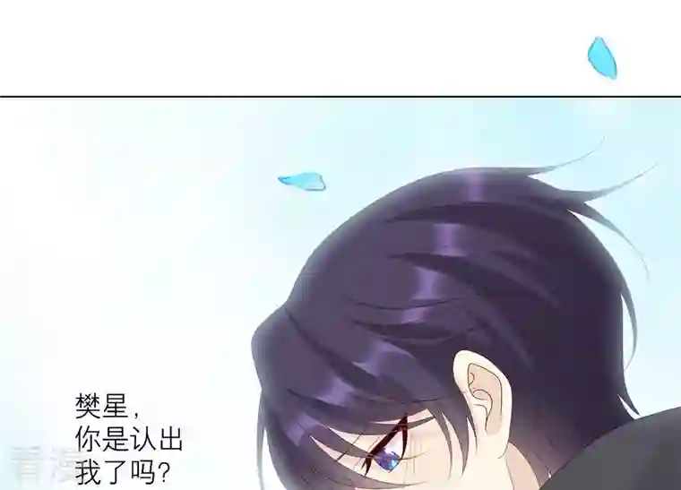 繁星坠落的食光第125话 暂时分别