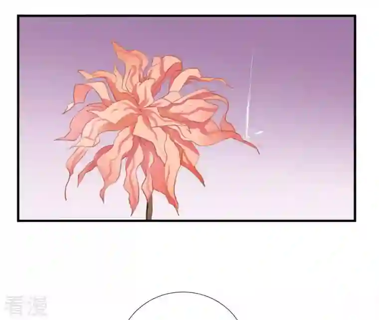 皇后很忙第40话 皇上的心疼