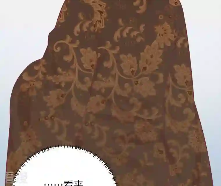 皇后很忙第101话 萧妃败露？