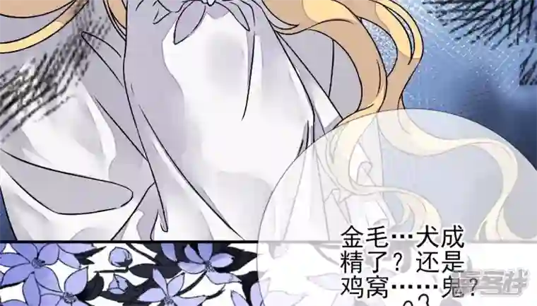 废柴女配，独揽群芳第9话 本作身高天花板出现了！