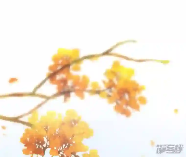 废柴女配，独揽群芳第12话 我是古画修复师