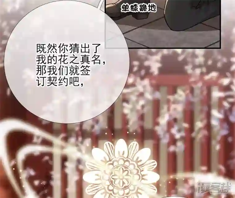 废柴女配，独揽群芳第16话 新的契约者（含福利）