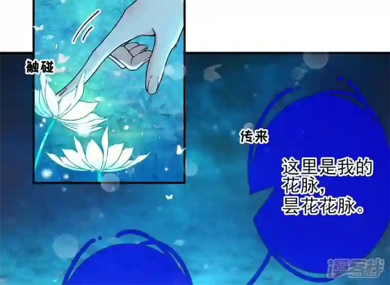 废柴女配，独揽群芳第27话 夜绊的花脉