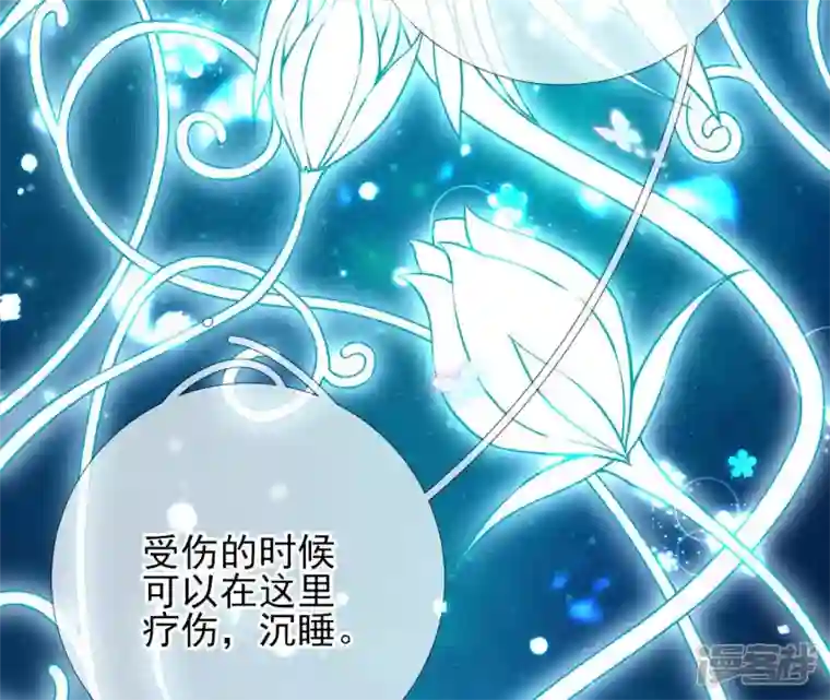 废柴女配，独揽群芳第28话 花脉到底是什么？